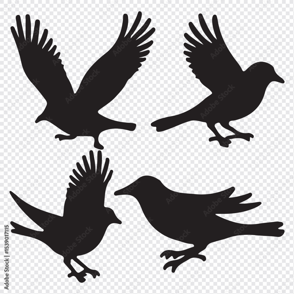 Obraz premium bird silhouettes, black and white, vector graphics, various poses, perched birds, flying birds, detailed bird shapes, minimalist design, ornithology illustration, nature clipart, bird watching guide