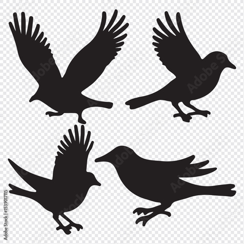 bird silhouettes, black and white, vector graphics, various poses, perched birds, flying birds, detailed bird shapes, minimalist design, ornithology illustration, nature clipart, bird watching guide