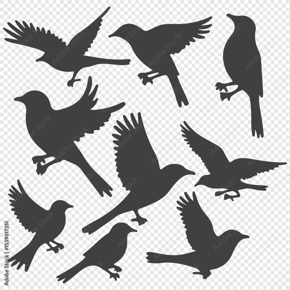 Fototapeta premium silhouettes of birds vector. bird silhouette vector illustration, perfect for logo design, art projects, and graphic design.