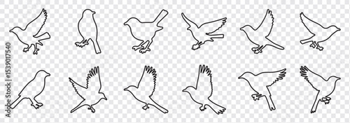 Bird silhouette vector, flying bird silhouette free, flying bird silhouette identification, silhouettes of birds of prey in flight, raptor bird silhouette.