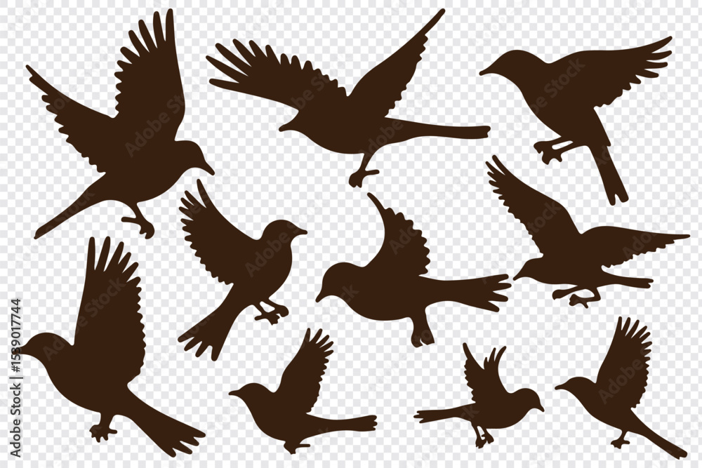 Naklejka premium Bird's black silhouettes set. bird silhouettes. isolated on white background.