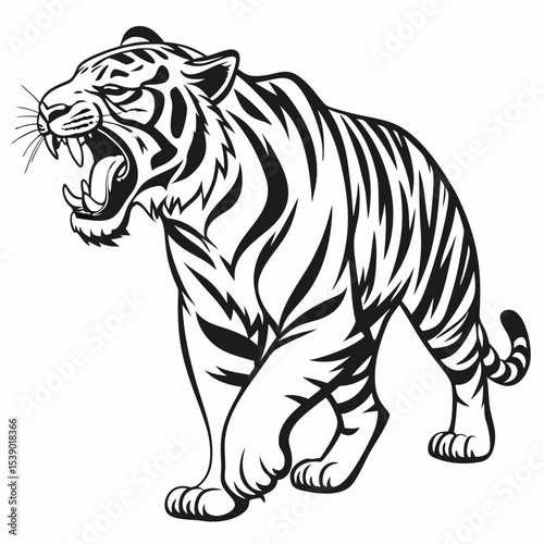 Roaring tiger walking black and white illustration