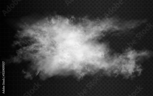 Realistic cloud isolated on dark transparent background. White smoke on semi transparent backdrop. Vector realistic horizontal ractangular night skyscape