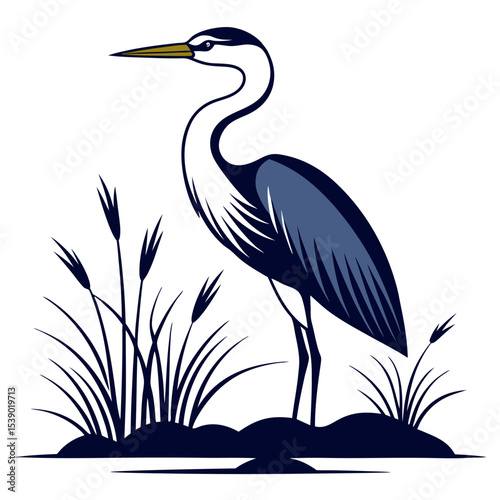 Great blue heron on the water, a wild grey bird with a long beak and feathers, fishing by the beach