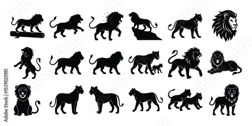 Big Lion Silhouette set, on white background. 