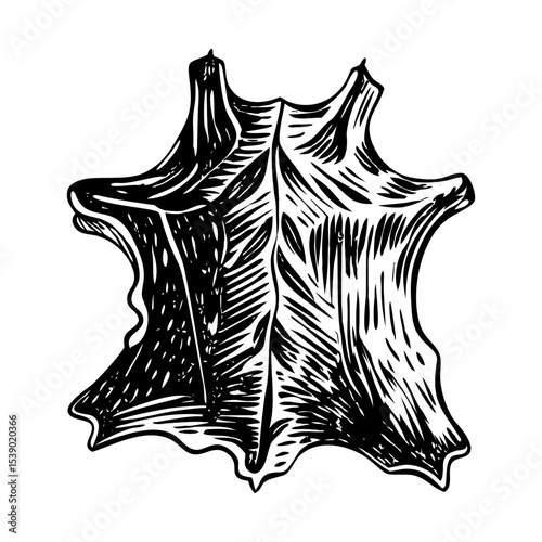 A vintage style illustration depicting tanned hide