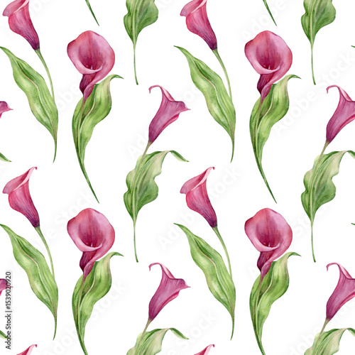 Calla lilies flowers seamless watercolor pattern. Hand drawn floral ornament isolated on white background. Template for textile design, packaging, wrapping paper.