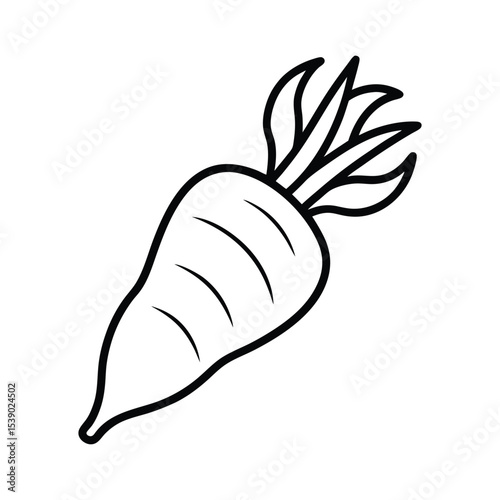 Organic parsnip root vegetable with natural details Line Art Vector illustration