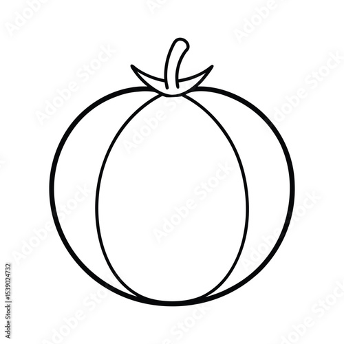 Ripe tomatillo fruit with papery husk covering Line Art Vector illustration
