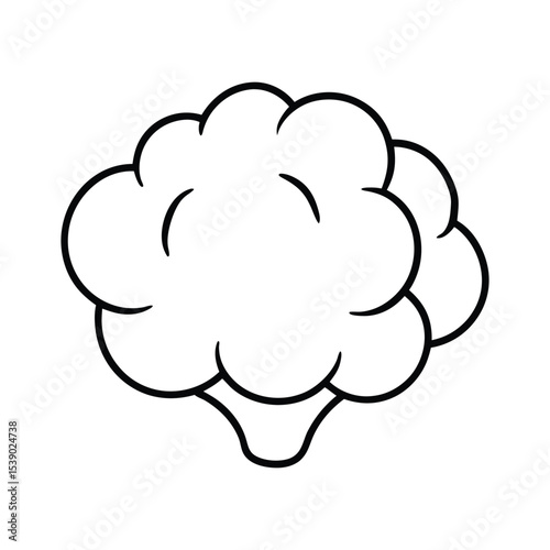 Cauliflower vegetable head with clustered florets Line Art Vector illustration