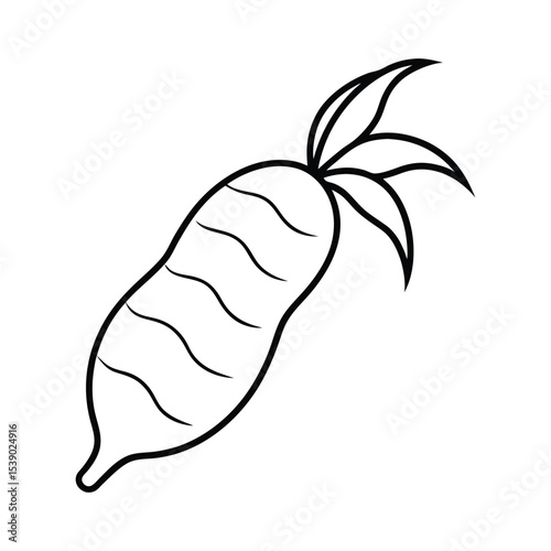 Cassava root vegetable with rough textured surface Line Art Vector illustration
