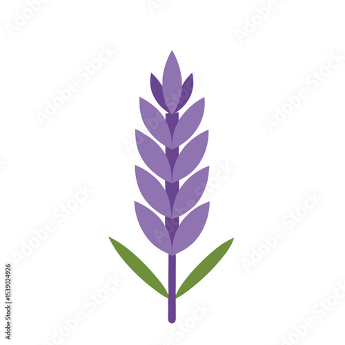 Elegant Lavender Blossom – Flat Floral Vector Illustration