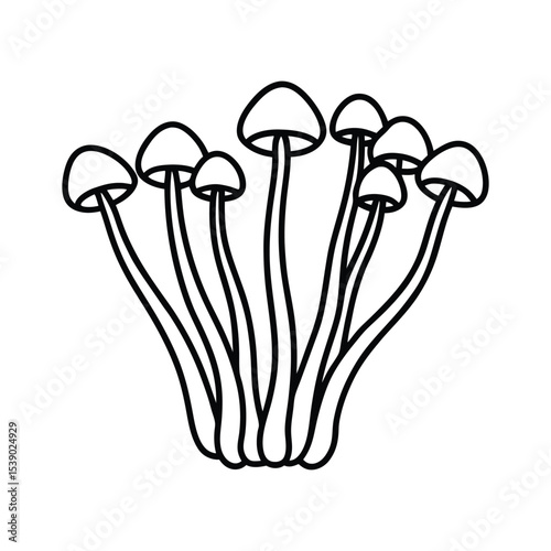 Enoki mushrooms with long thin stems and caps Line Art Vector illustration