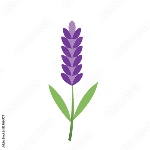 Lavender Flower Vector Icon – Botanical Herbal Design
