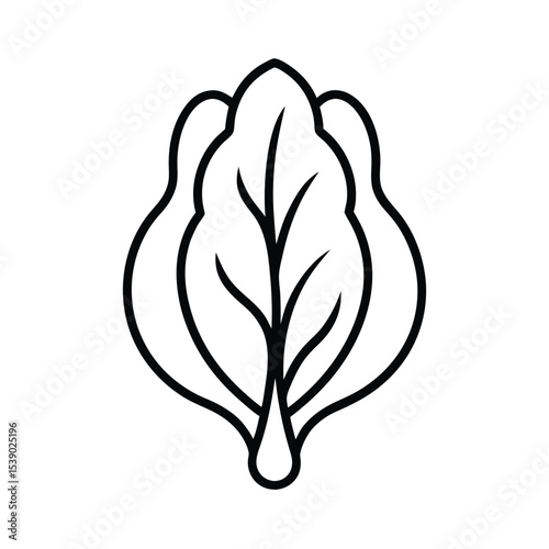 Fresh spinach leaf with slightly curled delicate veins Line Art Vector illustration