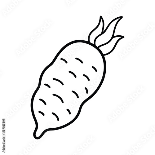 Taro root vegetable with rough and earthy appearance Line Art Vector illustration