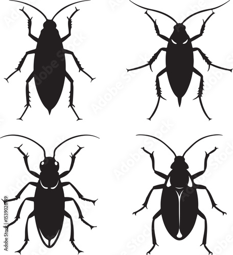 set of black and white beetle