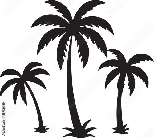palm trees silhouettes