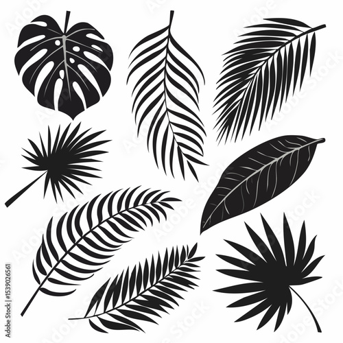Set of nine black leaf silhouettes in various shapes and styles, isolated on white background. Includes palm, fern, and broadleaf types with detailed vein patterns.

