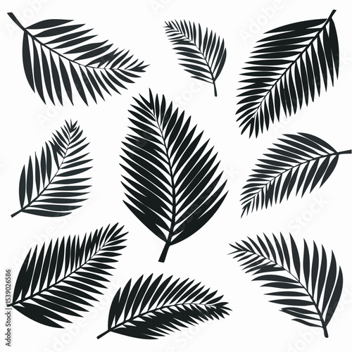 Set of nine black leaf silhouettes in various shapes and styles, isolated on white background. Includes palm, fern, and broadleaf types with detailed vein patterns.

