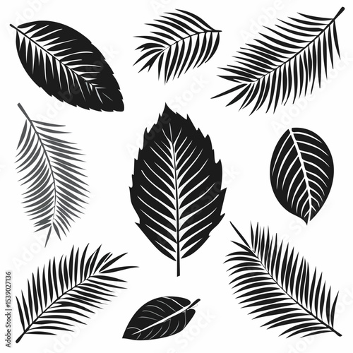 Set of nine black leaf silhouettes in various shapes and styles, isolated on white background. Includes palm, fern, and broadleaf types with detailed vein patterns.

