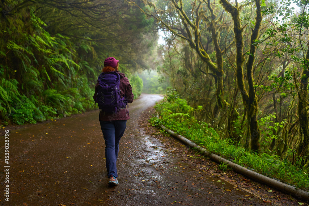 Woman hiking in Anaga forest trail Woman hiking in Anaga forest trail
