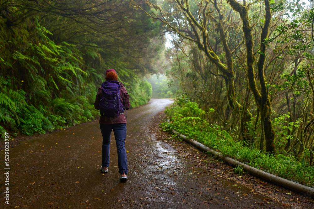 Fototapeta premium Woman hiking in Anaga forest trail