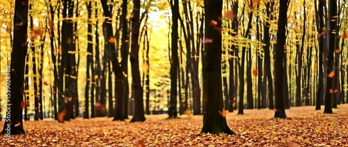 Wallpaper Mural Beautiful Scenery of Falling Leaves in Autumn Forest - Golden Season Torontodigital.ca