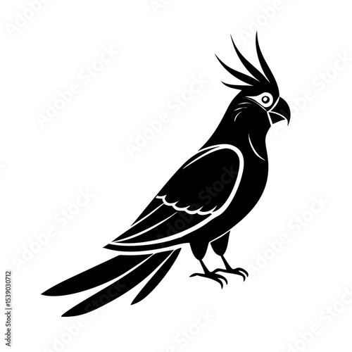 Cockatiel Parrot Line Art – Tropical Bird Outline Vector for Coloring Pages, Tattoo Design, Wildlife Clipart, Exotic Animal Icon, Black and White Drawing

