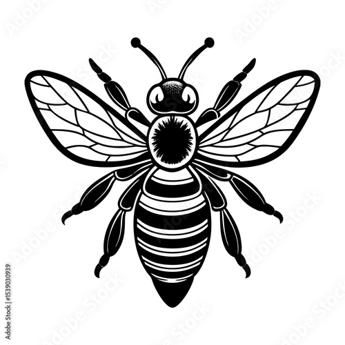 Detailed honey bee illustration for beekeeping enthusiasts and nature lovers vector graphic design