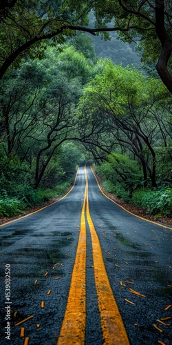 Serene Drive Through Lush Green Tunnel