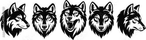 
A fierce collection of wolf head mascots, showing snarling and stoic expressions, perfect for sports team logos,