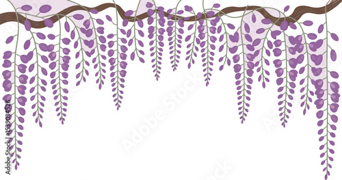 Wisteria illustration purple flowers floral background nature design spring blossom branch botanical art 100 editable stock vector illustration