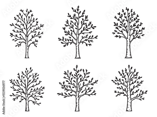 Birch Tree Minimalist Line Art