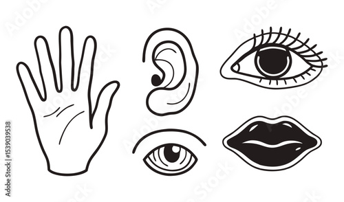 Hand ear eyes and lips representing the five senses isolated on white background