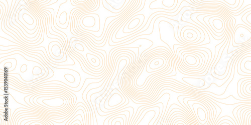 abstract White wave paper curved reliefs abstract background Topographic map lines background