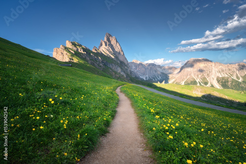 Path with vibrant wildflowe...