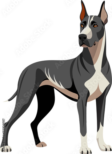 Great Dane