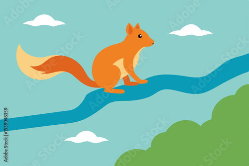 squirrel in the park