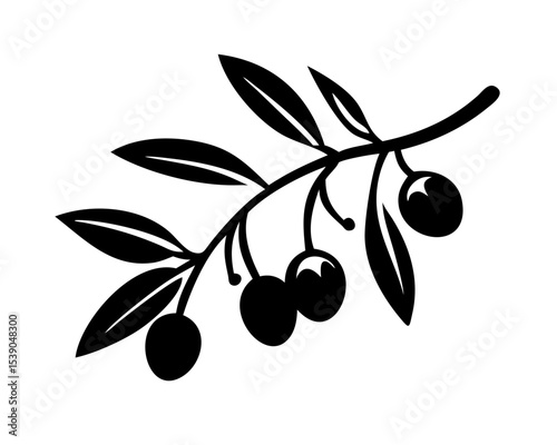 Decorative Olive Tree with Berries and Leaves - Botanical Illustration, Mediterranean Plant Vector Isolated on White
