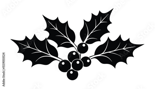 Elegant Holly Berries and Leaves A Classic Christmas Illustration