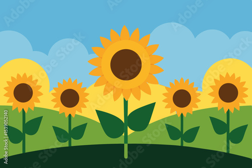 sunflower on a blue background