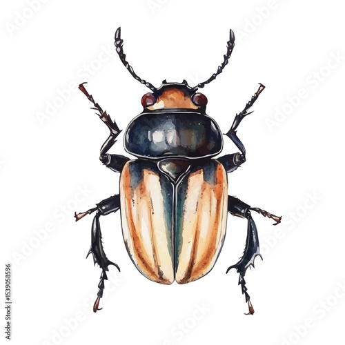 watercolor of Atlas Beetle, vector, isolated on a white background.