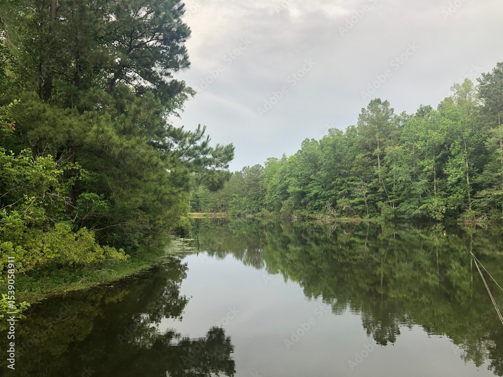 Fototapeta premium Pond in the woods