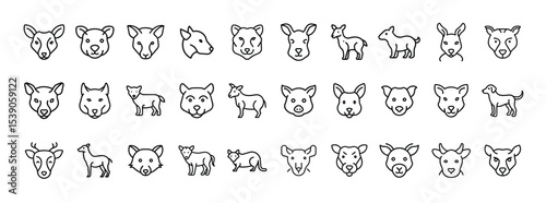 Set of Animal Faces and Pet Line Icons – Collection of Domestic and Wild Animal Head Illustrations for Design and Education