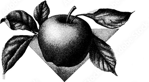 Minimalist apple with leaves and falling petal in clean line art style for modern design