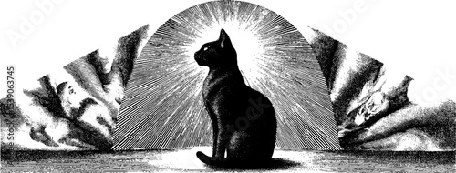Surreal black cat in golden sunbeam with abstract collage design