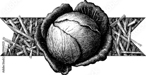 Vintage cabbage head with straw mulch engraving design for rustic home decor