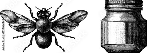 Vintage firefly and mason jar dotwork design for tattoos or art prints