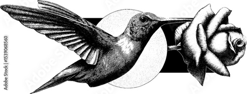 Intricate hummingbird and morning dew dotwork tattoo design with rose